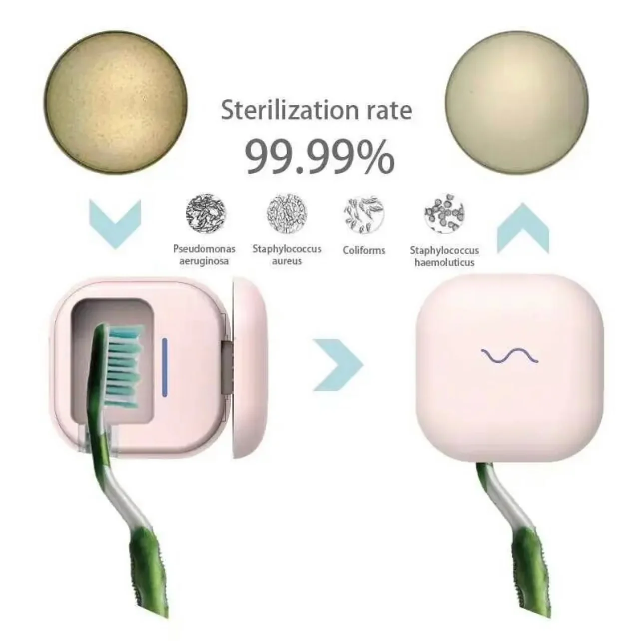 Germ Guard - Image 7